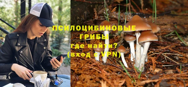 ГАЛЛЮЦИНОГЕННЫЕ ГРИБЫ Балахна